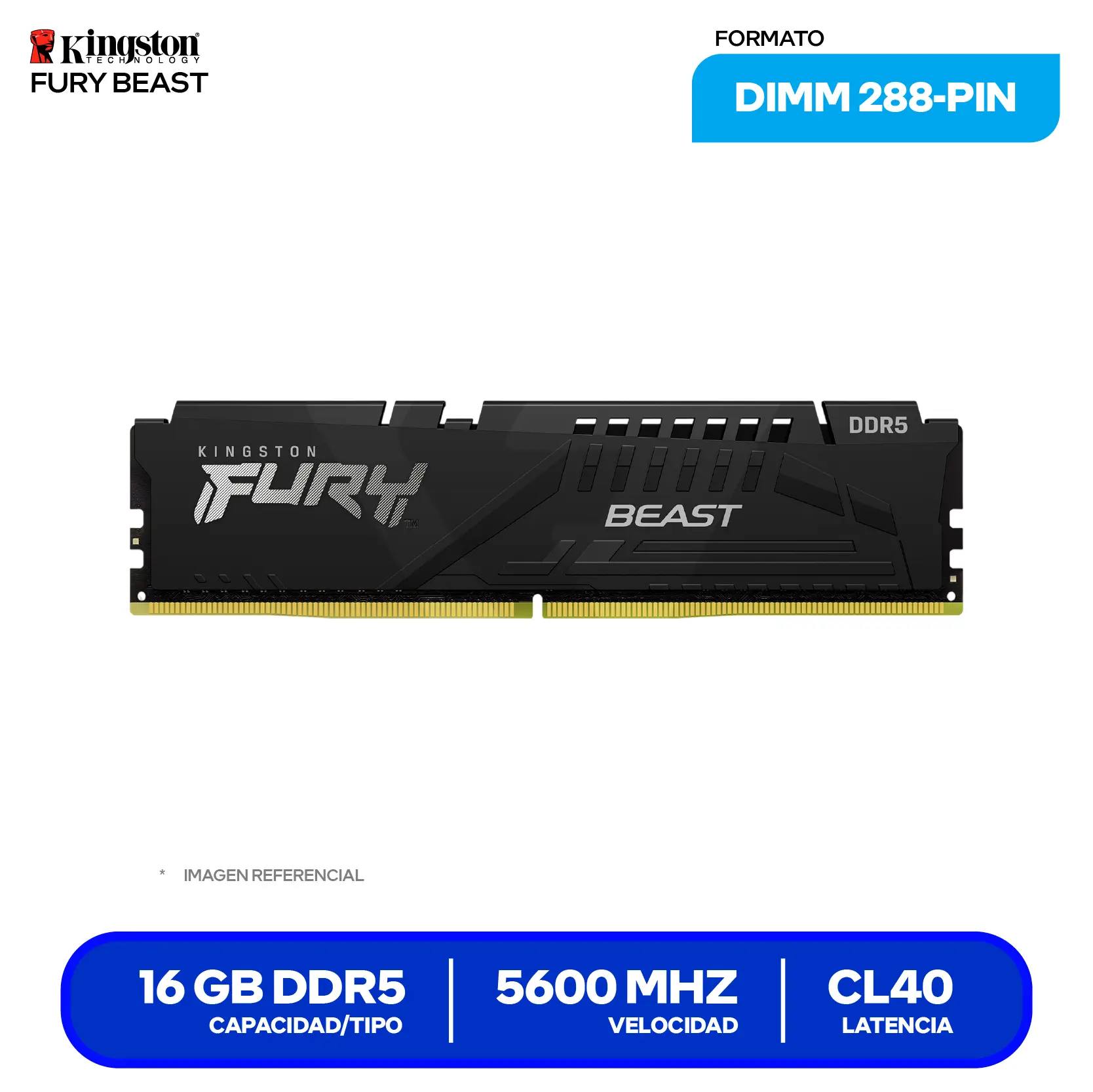 Memoria UDIMM Kingston Fury Beast (KF556C40BB-16) 16GB, DDR5, 5600 MHz