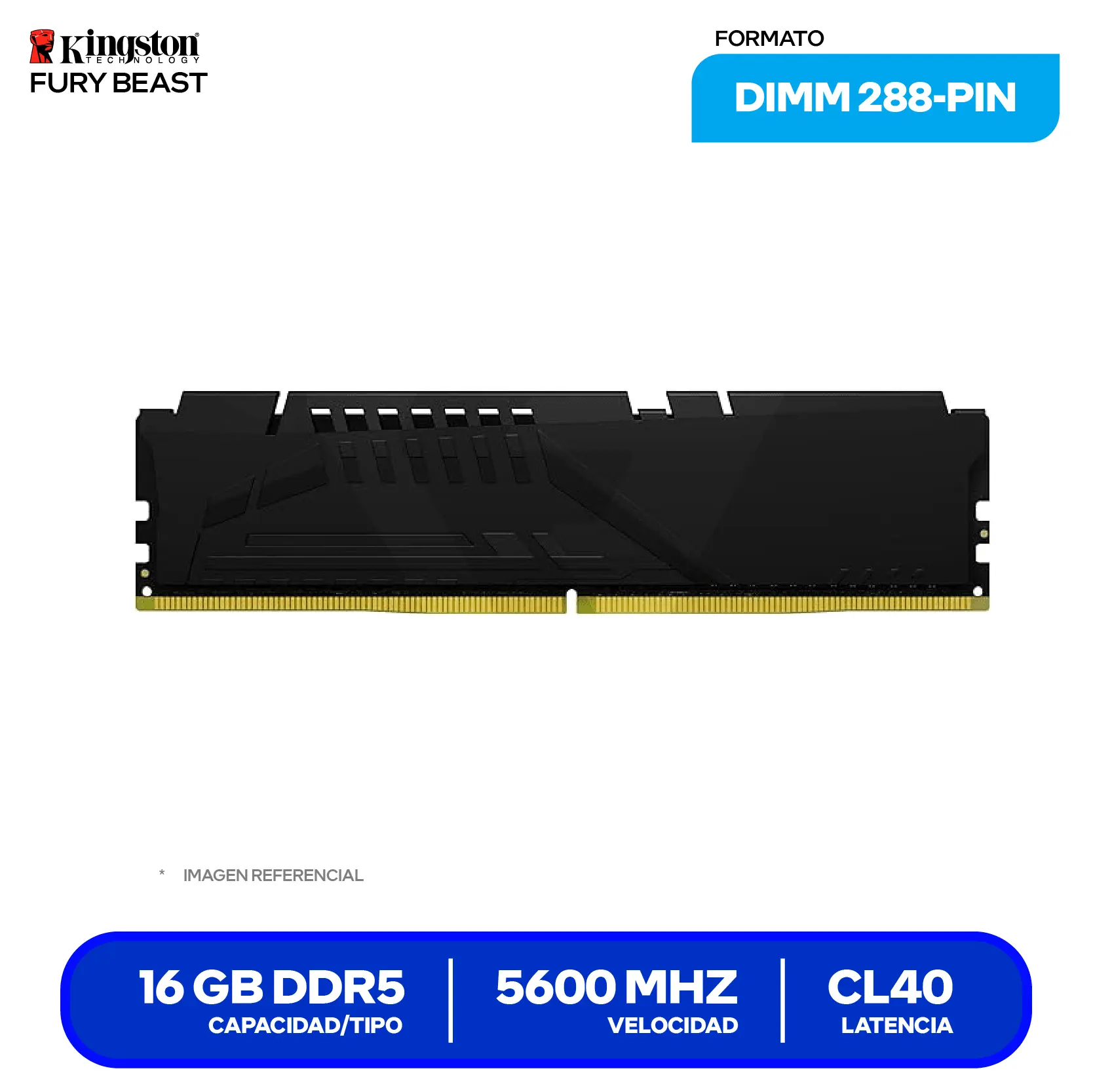 Memoria UDIMM Kingston Fury Beast (KF556C40BB-16) 16GB, DDR5, 5600 MHz